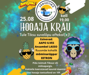 Kujundustöö Perlamedia.ee